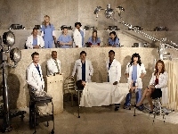 Grey s Anatomy, Chirurdzy, Obsada