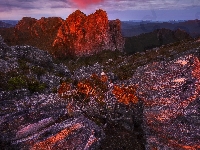 Tasmania, Australia, Arthur Range, Skały, Szczyty, Krzewy, Wschód słońca, Góry