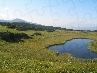Tatry, Łąka