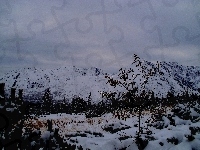 Tatry, Gąsienicowa, Góry, Zimą, Hala