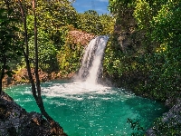 Roślinność, Wodospad, Drzewa, Nowa Zelandia, Jezioro, Tawhai Falls, Park Narodowy Tongariro