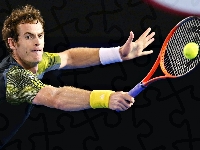Szkot, Andy Murray, Tenisista