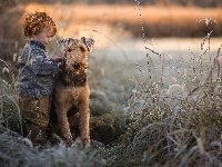 Pies, Chłopiec, Airedale terrier, Trawy, Trzciny