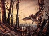 Las, Terry Avon Redlin, Obraz, Reprodukcja, Sowa