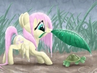 Przyjaźń To Magia, My Little Pony, Fluttershy