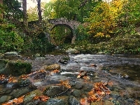 Tollymore Forest Park, Kamienie, Jesień, Rzeka Shimna, Irlandia Północna, Most Foleys Bridge, Las