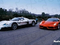 Top, Maserati, Ferrari, Gear