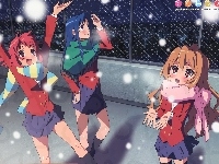 Toradora, Anime