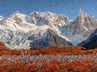 Góry, Patagonia, Argentyna, Park Narodowy Los Glaciares, Cerro Torre, Jesień, Roślinność, El Chalten, Ośnieżone