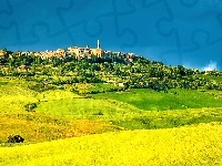 Toskania, Włochy, Pienza, Pola