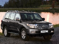 Lampy, Land Cruiser, Toyota