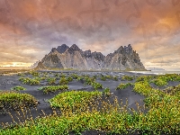 Trawa, Niebo, Piasek, Góry, Góra Vestrahorn, Czarny, Islandia, Plaża