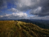 Trawa, Bieszczady, Góry, Chmury