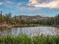 Trawa, Góry, Drzewa, Stany Zjednoczone, Hulsey Lake, Jezioro, Arizona