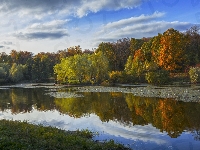 Odbicie, Jesień, Staw, Trawa, Park, Drzewa, Brzeg