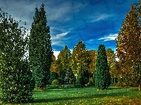 Trawa, Park, Zielona, Drzewka
