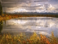 Jezioro, Trawy, Chmury