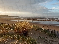 Trawy, Morze, Plaża, Chmury