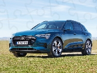 Niebieskie, Audi e-Tron 55 Quattro