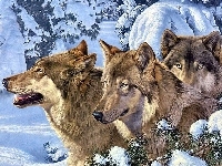 Wilki, Trzy, Zima