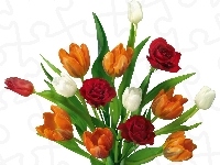 Tulipanów, Bukiet, Kolorowych, Róż