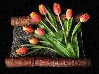 Tulipany