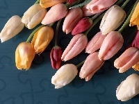 Tulipany, Bukiet
