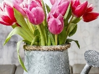 Tulipany, Kwiaty, Bukiet, Konefka