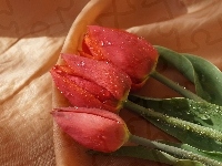 Tulipany, Bukiet, Leżące, Czerwone, Krople