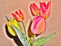 Tulipany, Kwiaty, Efekty Graficzne