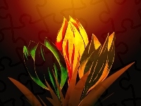 Tulipany, Grafika
