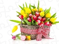 Tulipany, Bukiet, Kwiatów, Kosz