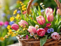 Kolorowe, Tulipany, Kwiaty, Koszyk, Wiklinowy