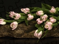 Różowe tulipany, Bukiet