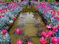Tulipany, Niezapominajki, Fontanna, Różowe, Niebieskie