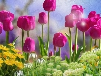 Tulipany, Kwiaty, Różowe, Grafika