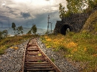 Tunel, Tor, Kolejowy, Rośliny