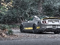 Tuning, Ford, Mustang, Chicane