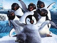 Tupot małych stóp, Happy Feet