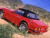 TVR V8S