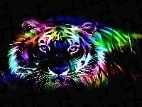 Tygrys, Fractalius