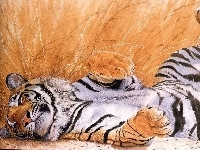 Grafika, Odpoczynek, Tygrys