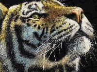 Tygrys, Paintography