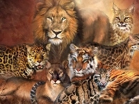 Tygrys, Lampart, Koty, Lew, Puma, Duże