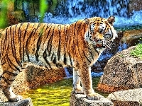 Wodospad, Tygrys, Skały