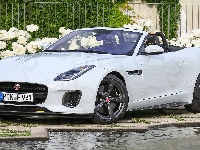 Biały, Jaguar F-Type