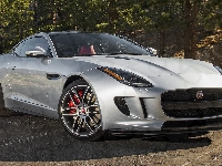 Srebrny, Jaguar F-Type