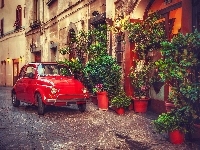 Ulica, Fiat 500, Rośliny