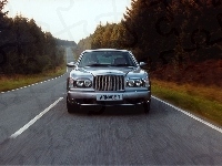 Ulica, Bentley Arnage, Drzewa