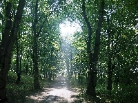 Uliczka, Park